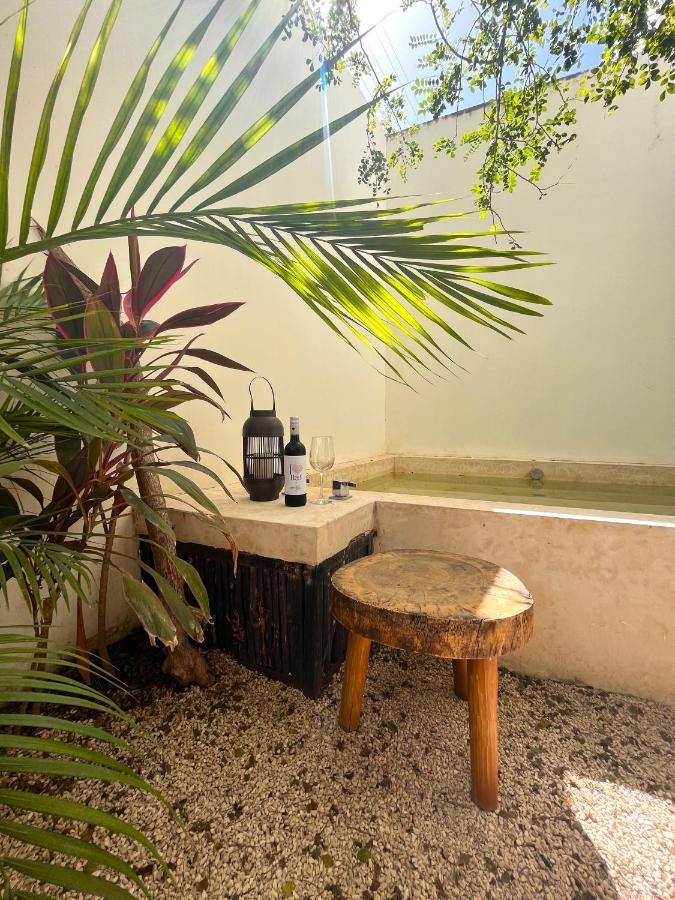Condo Jungle Apartment & Private Patio ตูลุม ภายนอก รูปภาพ